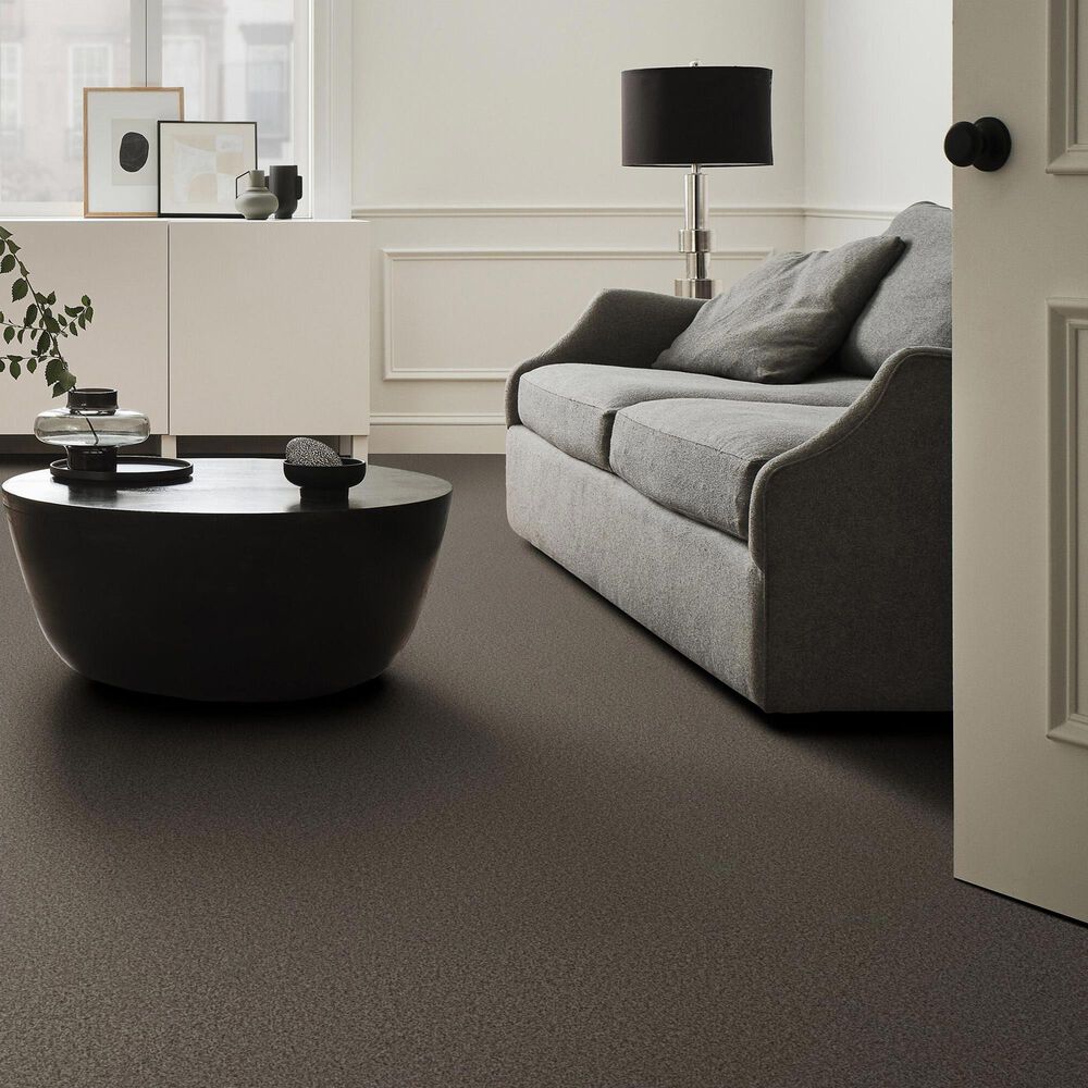 Anderson Tuftex Fabulous Carpet in Sable, , large