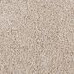Mohawk Delicate Tones II Carpet in Harmonious, , large