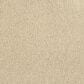 Masland Miami Carpet in Muskoka, , large