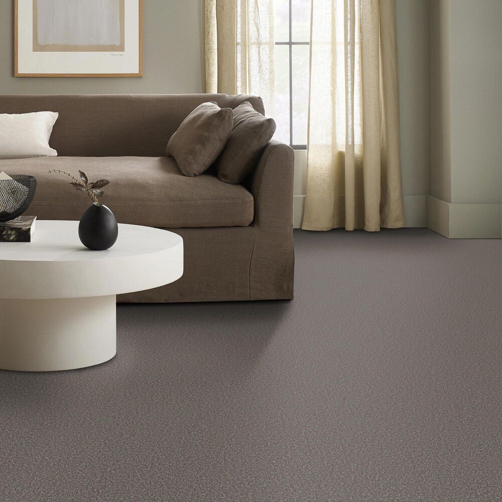 Shaw Imaginable II Carpet in Sparrow, , large