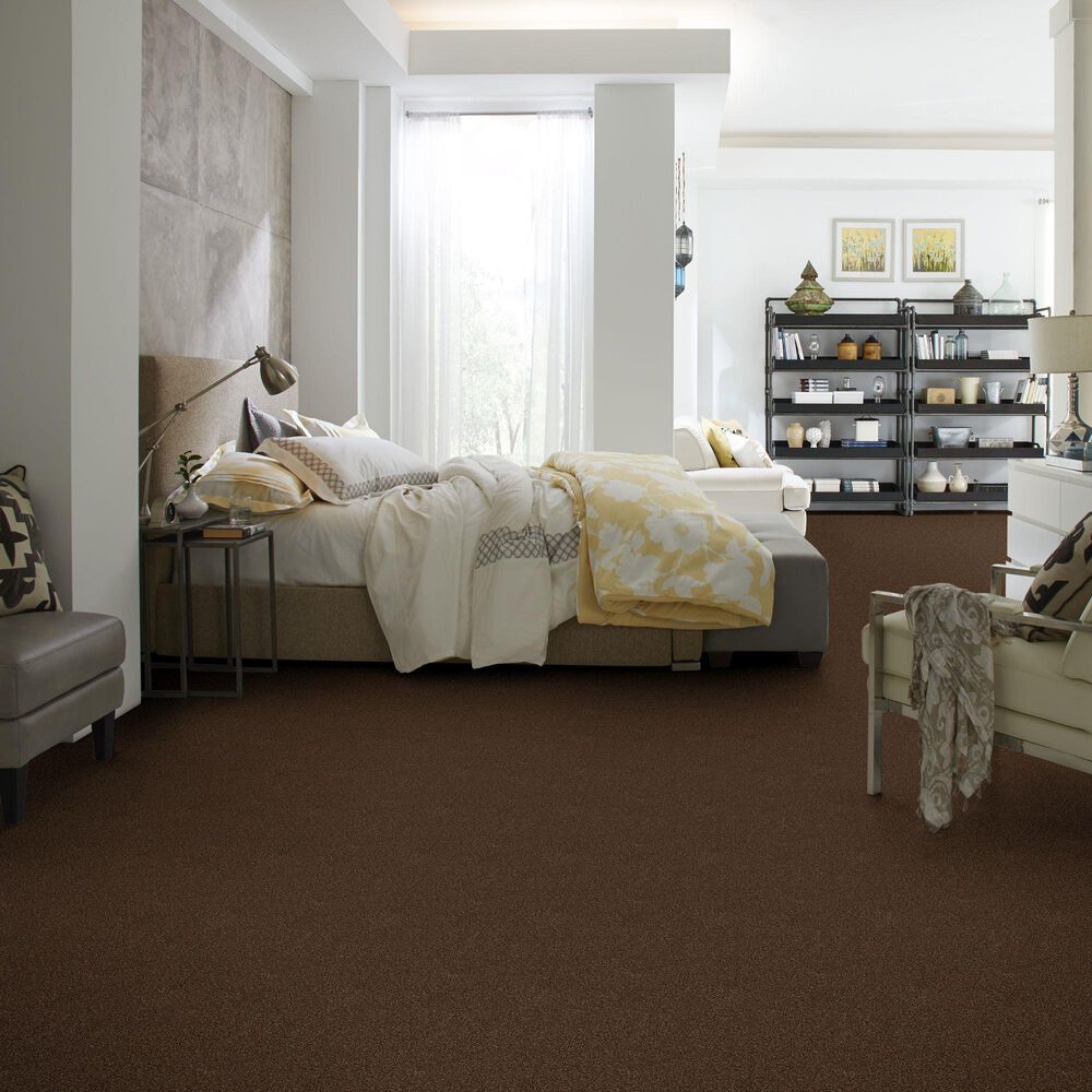 Shaw Find Your Comfort NS Blue Carpet in Chocolate Treat, , large
