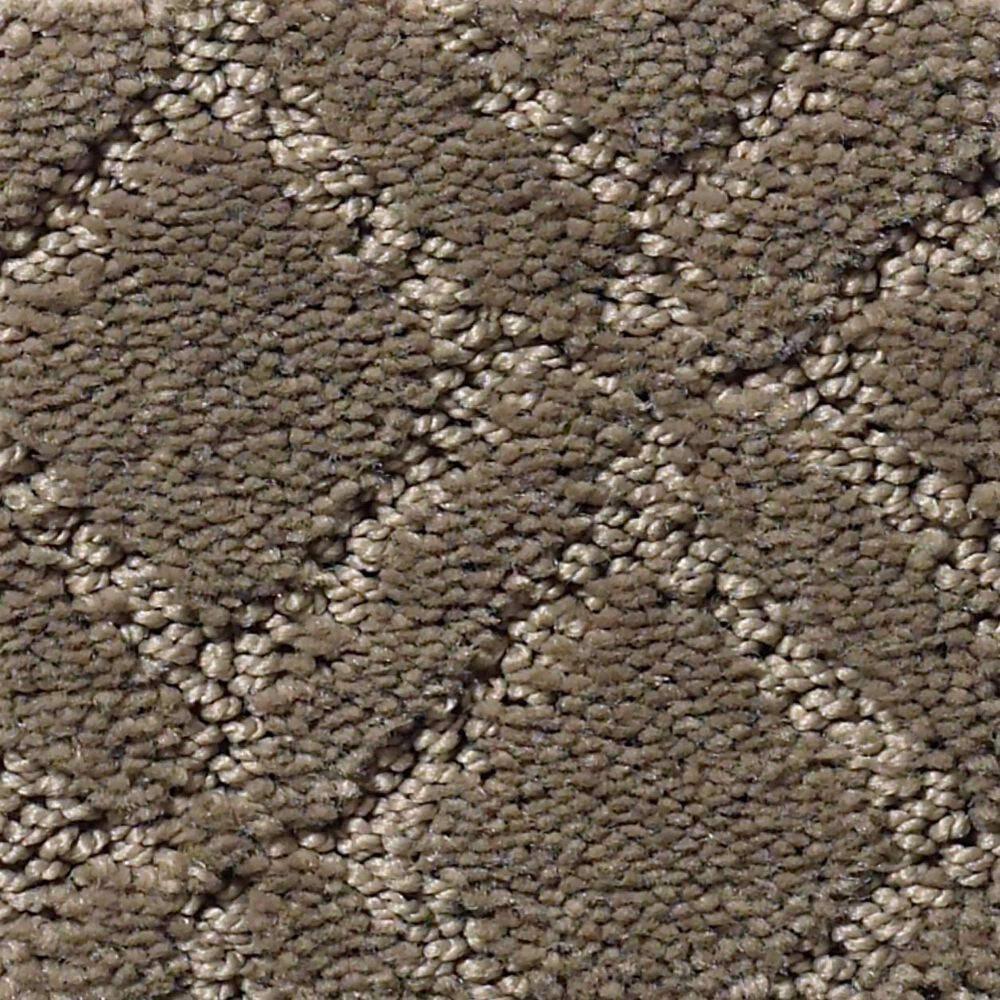 Anderson Tuftex Renoir Carpet in Dash, , large