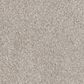 Dream Weaver Affinity IV Carpet in Elkhound, , large