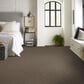 Shaw Yes You Can I Carpet in Mission Ridge, , large