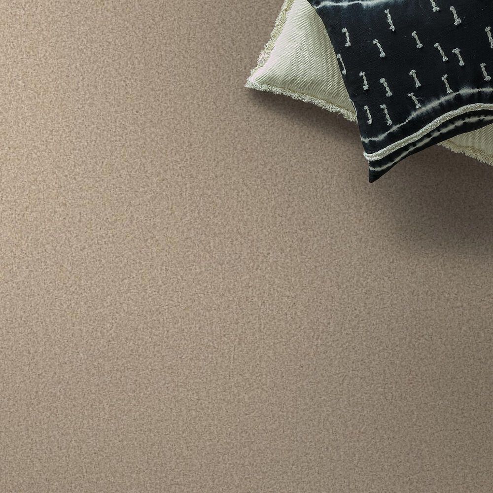 Anderson Tuftex Somerset Carpet in Down Home, , large