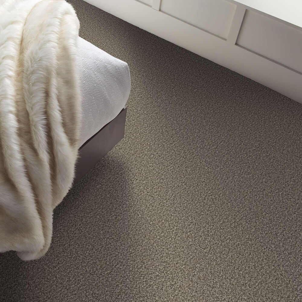 Shaw Renewed Energy II Carpet in Countryside, , large