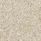 Mohawk Raise The Woof II Carpet in London Fog, , large