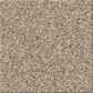 Shaw Comforting I Carpet in Wild Rice, , large