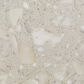 Dal-Tile Outlander Echo 12" x 24" Grande Porcelain Tile, , large