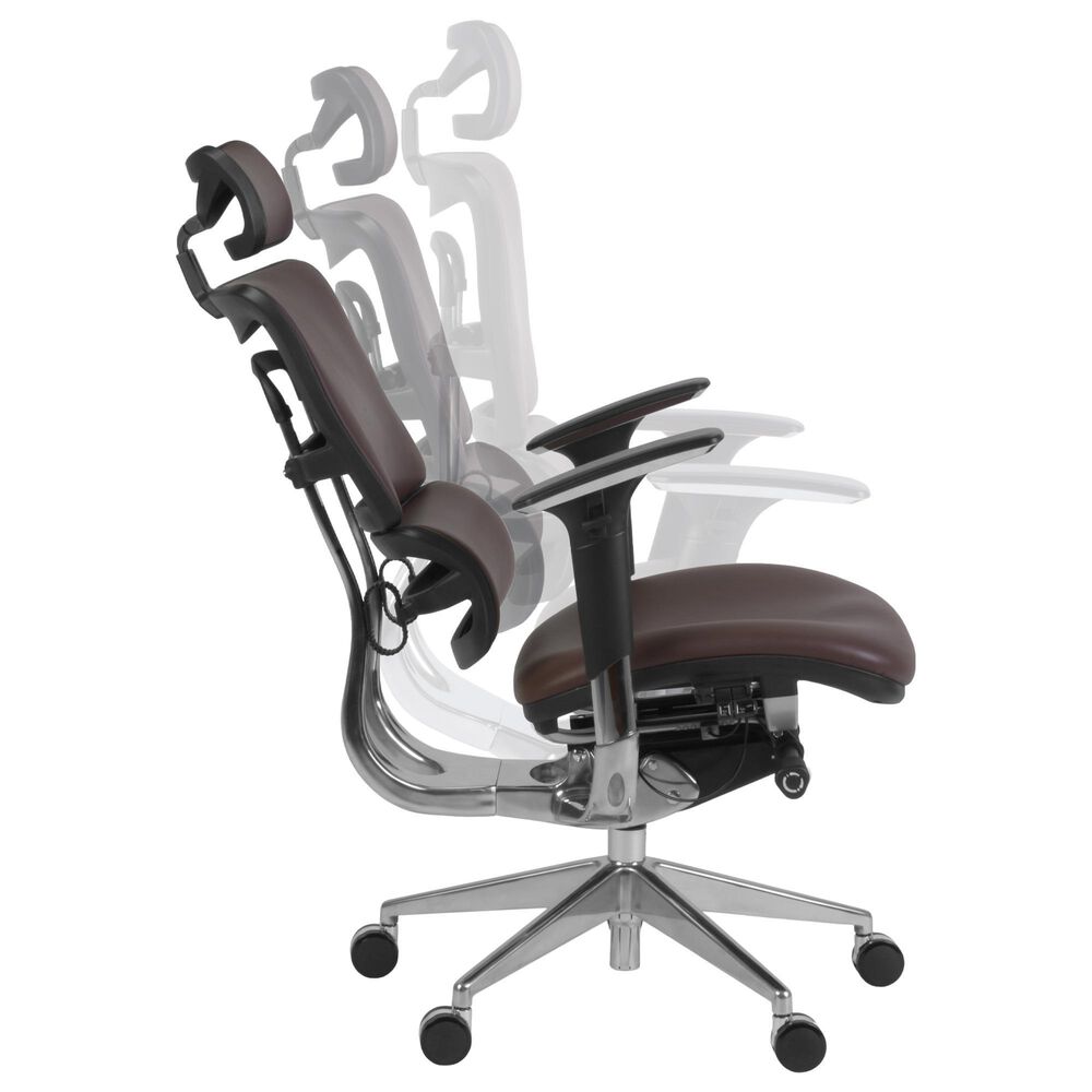 Regency Global Sourcing Omega Ergonomic Executive Office Chair in Chocolate, , large