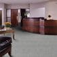 Shaw Franchise Carpet in Pewter, , large