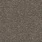Mohawk Revive Carpet in Steelbeam, , large