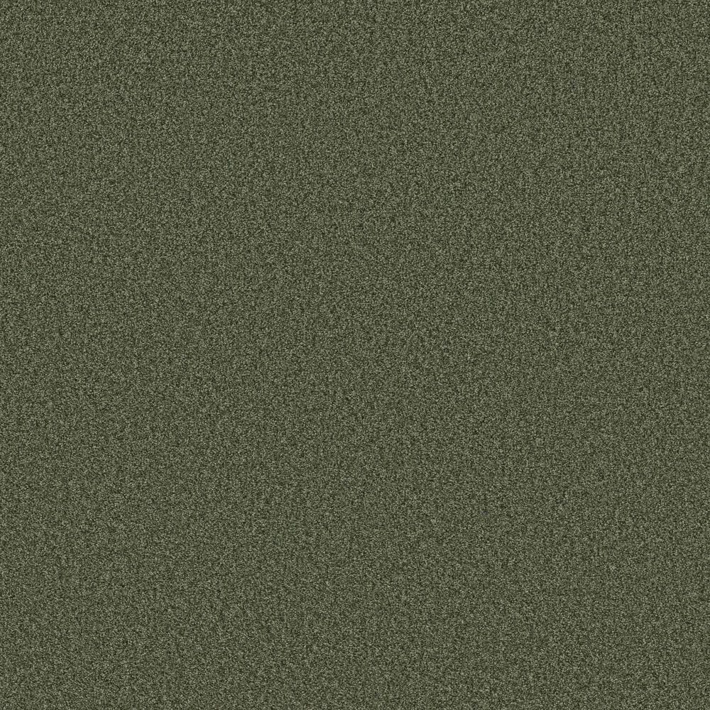 Shaw Tonal Comfort Ii Carpet in Olive Grove, , large