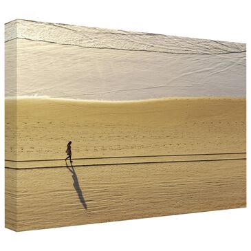 Timberlake Beata Czyzowska "Walking The Line" 16" x 24" Canvas Art in Tan/White/Grey/Brown, , large