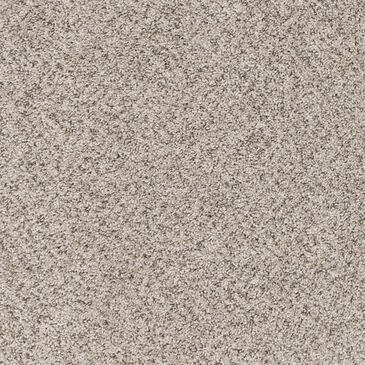 Mohawk Canine Comfort Carpet in Hazenut, , large