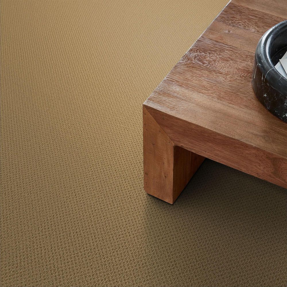 Anderson Tuftex Gracious Carpet in Summer, , large
