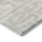 Dalyn Rug Company The Reserve TR1 Ivory 2"3" x 7"6" Indoor/Outdoor Runner, , large