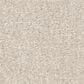 Shaw Easy Spirit I 12" Carpet in Soft Light, , large