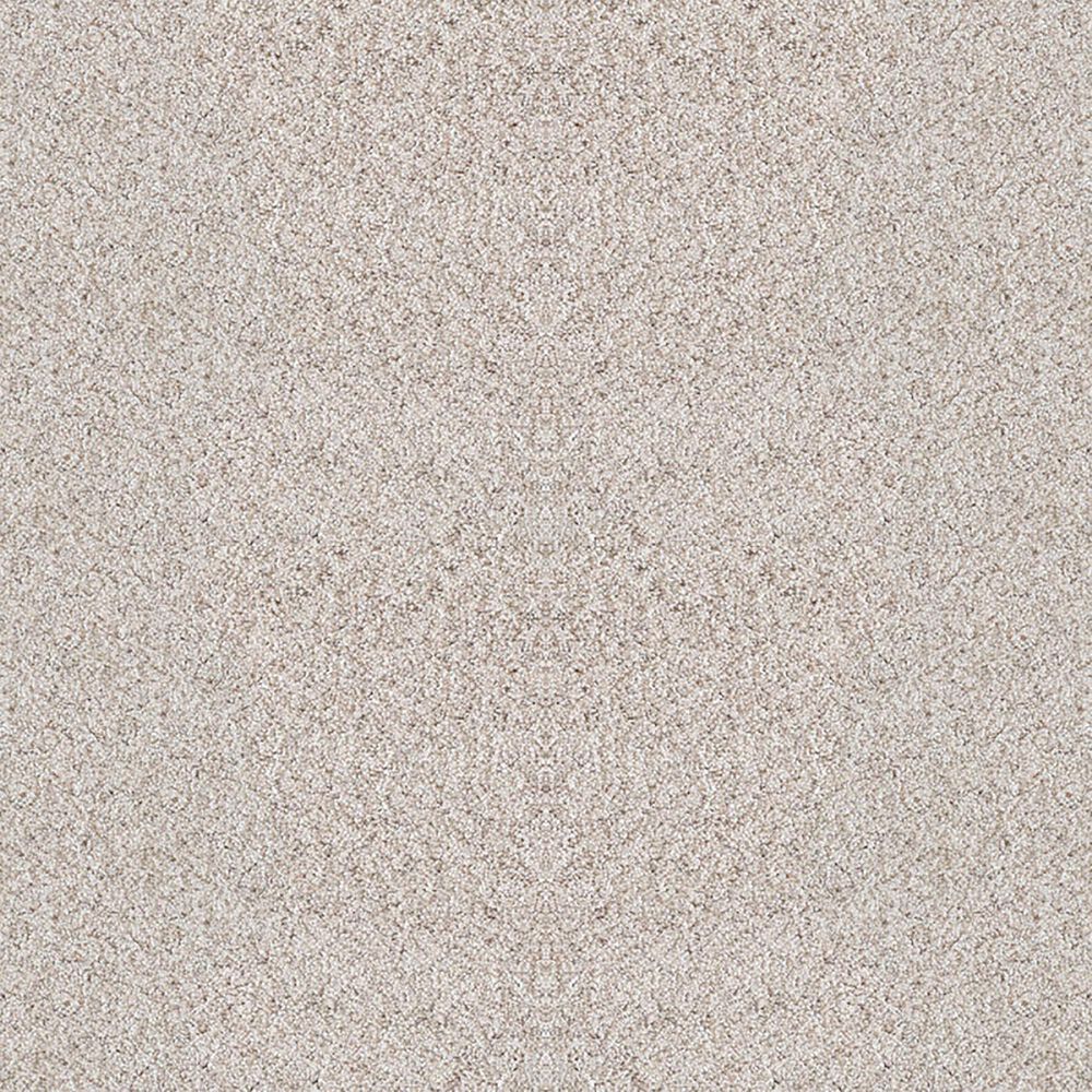 Dixie Home Noble Guardian Carpet in Fetch, , large