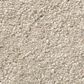 Shaw Well Grounded II 15" Carpet in Dreamy, , large