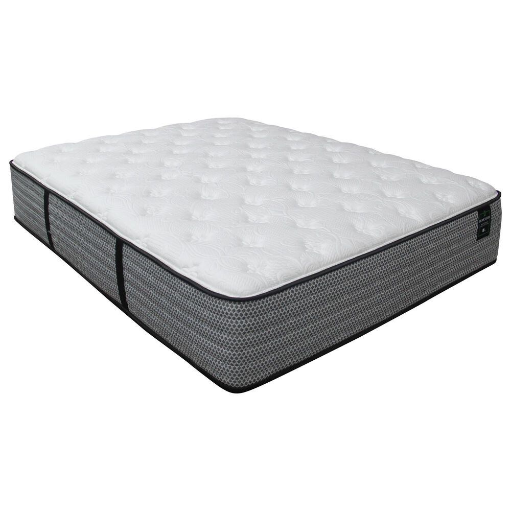 Sleeptronic Berkshire Q Plush Queen Mattress, , large