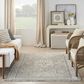 Nourison Lynx 9"10" x 13"6" Ivory and Charcoal Area Rug, , large
