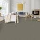 Dixie Home Riverbend Carpet in River Rock, , large