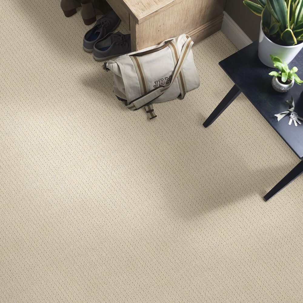 Anderson Tuftex San Lucas Carpet in Beach Haven, , large