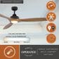 Vaxcel Niles 60" Integrated LED Ceiling Fan in Black, , large