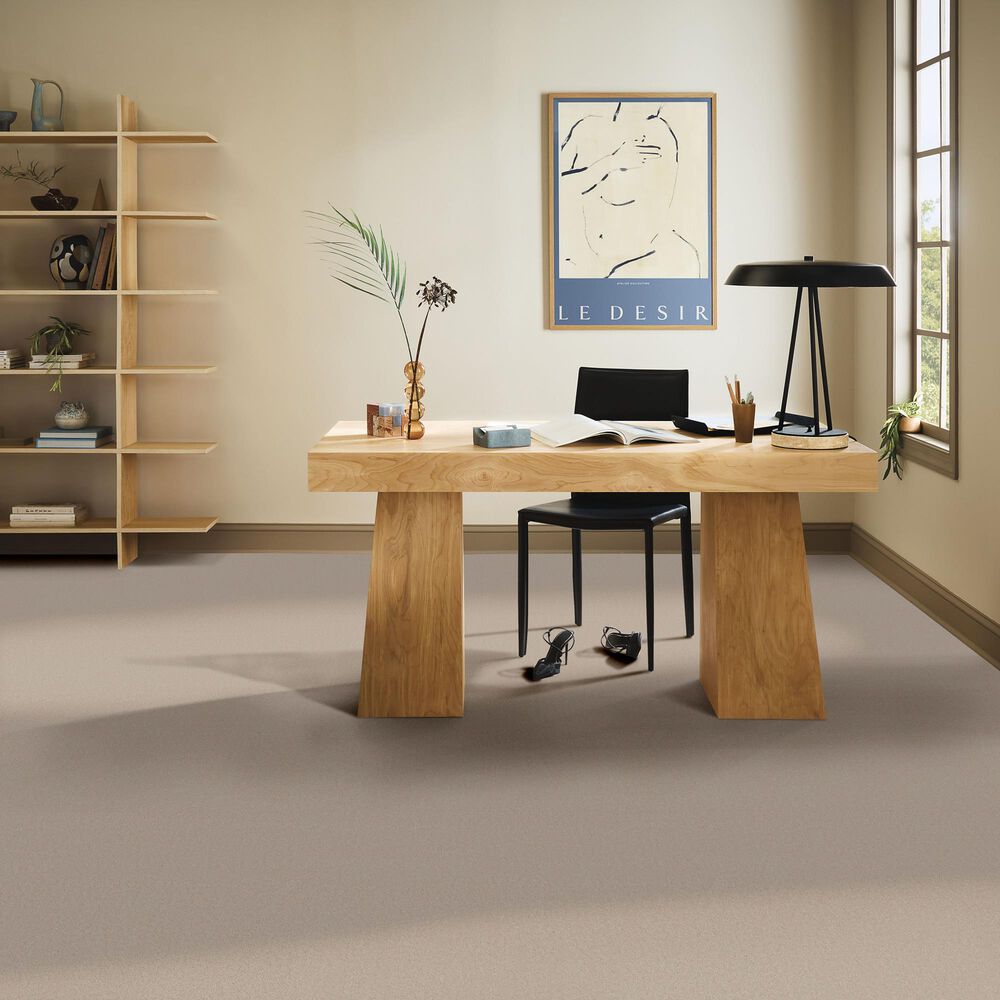 Anderson Tuftex Finery Carpet in Putty, , large
