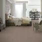 Shaw Just Right II Carpet in Fox Hollow, , large