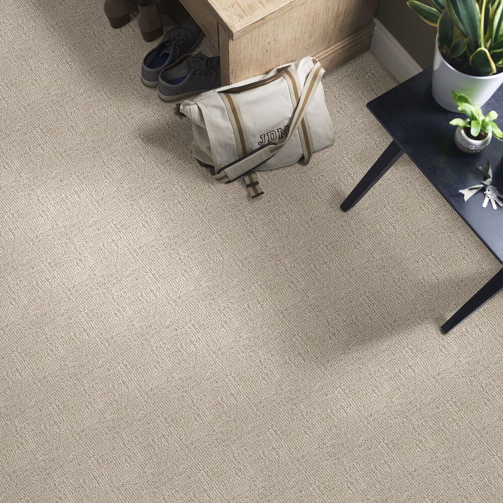 Anderson Tuftex Loredo Carpet in Cocoa Sand, , large