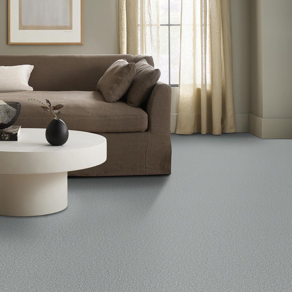 Anderson Tuftex Wyndham Estate Carpet in Calypso, , large