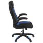 Regency Global Sourcing AON Archeus Ergonomic Gaming Chair in Black and Blue, , large