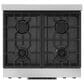 Thor Kitchen Gordon Ramsay 4.55 Cu. Ft. 30" Professional Liquid Propane Range with Black Handle Kit in Stainless Steel, , large