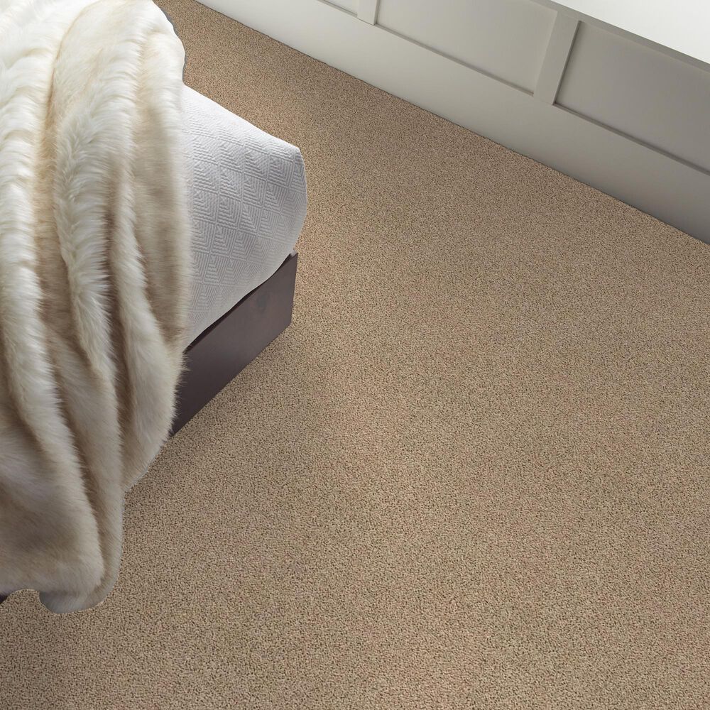 Shaw Del Morro Carpet in Midland, , large