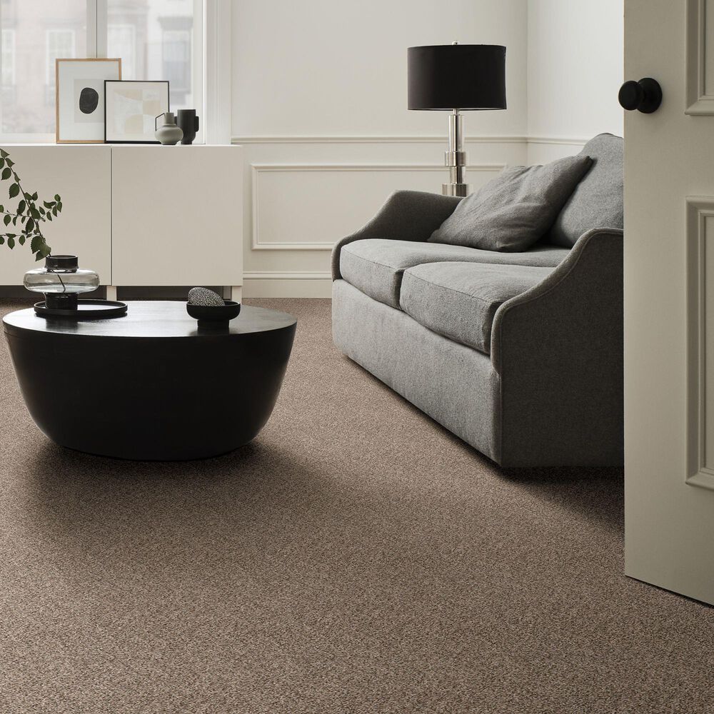 Shaw Cabana Bay &#40;B&#41; Carpet in Mesa, , large