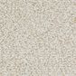 Masland Santo Domingo Carpet in Insistent, , large