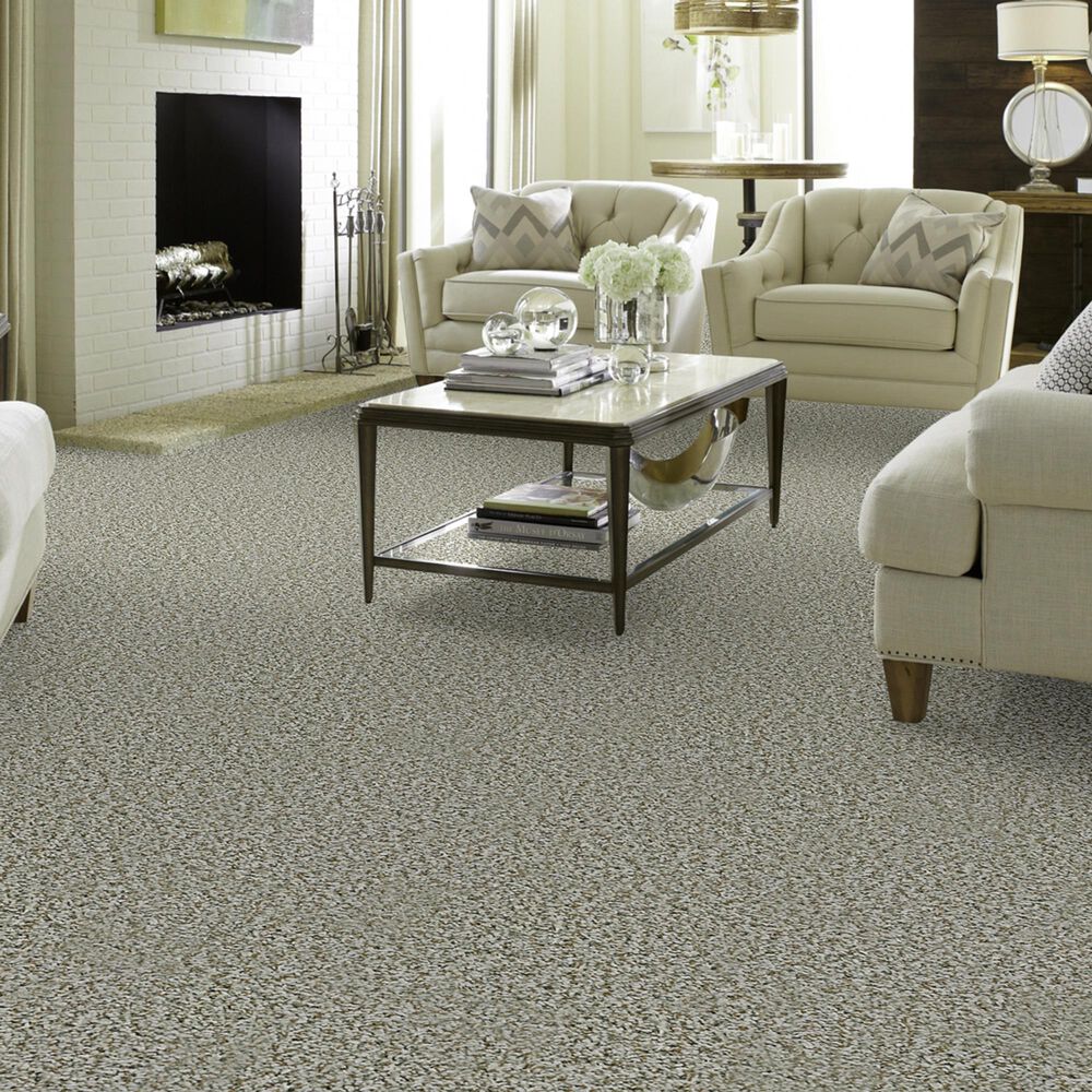 Shaw Break Away Tonal Carpet in Snow Peak, , large