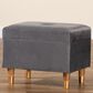 Baxton Studio Elias Storage Ottoman in Grey, , large
