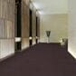 Shaw Primus Carpet in Supreme, , large