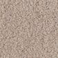 Anderson Tuftex Luxe Feel I Carpet in Harvest Moon, , large