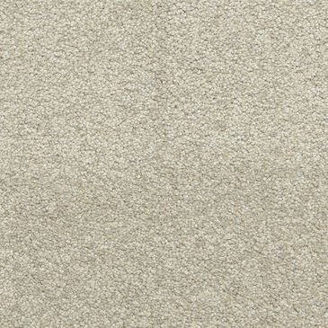 Dixie Home Simplicity Carpet in Driftwood, , large