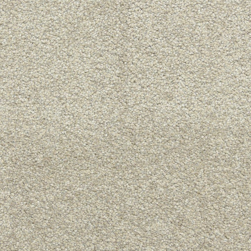 Dixie Home Simplicity Carpet in Driftwood, , large