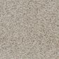 Dixie Home Simplicity Carpet in Oatmeal Raisin, , large