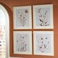 Ashley Chettings 23" x 27" Wall Art in Beige, Gray and Blush (Set of 4), , large