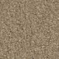 Shaw Way To Go II Carpet in Hidden Treasure, , large