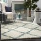 Safavieh Dallas Shag SGD257J-10 10" x 14" Ivory/Light Blue Area Rug, , large