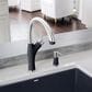 Blanco Artona Pull-Down Kitchen Faucet 1.5 GPM in PVD Steel and Anthracite, , large