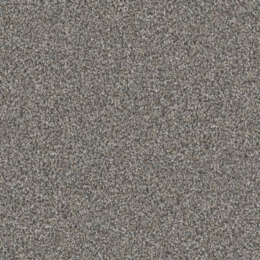 Dixie Home Devotion Carpet in Silhouette, , large